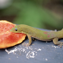 child born older than her mother (MUST SEE)