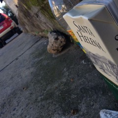 Días que aún no llegan