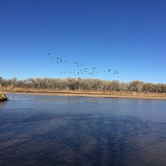 8' in the rio grande