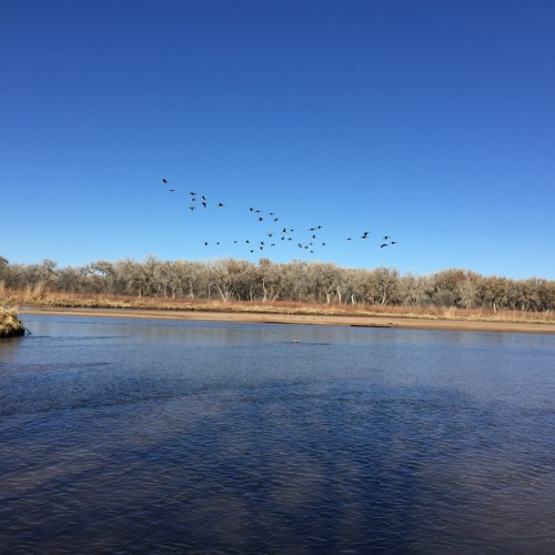 8' in the rio grande