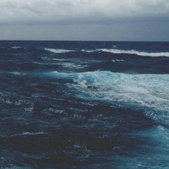 Jonas brothers-love bug (cover)