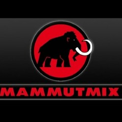 JBB 2014 - MAMMUTMIX (ohne Greeen/Intro)