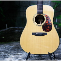 รักล้นใจ : ปั่น ไพบูลย์เกียรติ [ FingerStyle by Furch D 31-SR ]