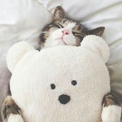 Seventeen -menemukanmu