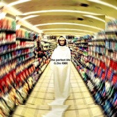 Moby - The Perfect Life (G.Dio RMX)