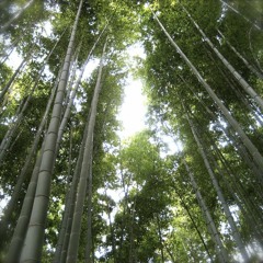 侍ーSAMURAIー(2005.10.15 Live)