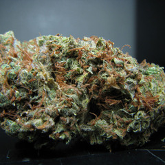 Headband x Don Swish x Nino Suave x NGB x FSM