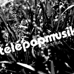 Just Hold On (Drake vs. Telepopmusik)