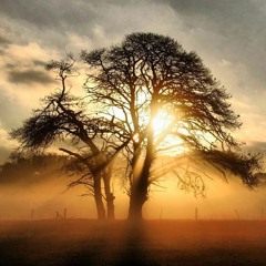 Lull's Lament - Between Heart And Earth - Improvisation