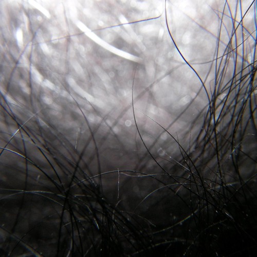 Summer is coming to an end