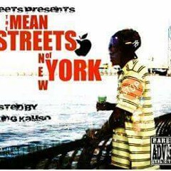 bronx niggas ft oun-p & joelit