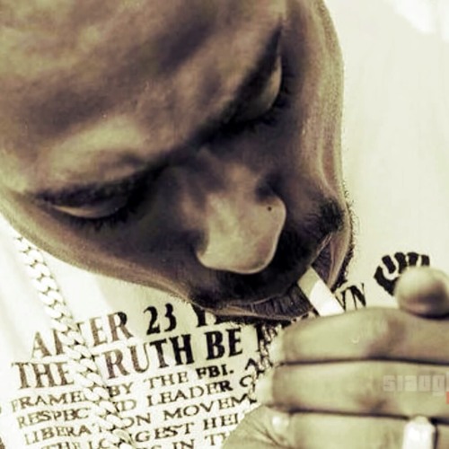 DJ Slaughter - 2pac Danger Zone 2015