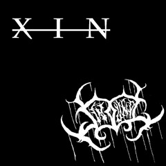 X I N // The Mountain ft. Swounds