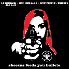 Sheezus Feeds You Bullets (DJ Schmolli / Nine Inch Nails / Deep Purple / Editors)