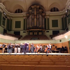Young European Strings Chamber Orchestra IAYO 2014