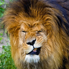 Gary Strife Reggae Dancehall Mix