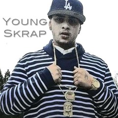 Scrap Ice Cream Freestyle