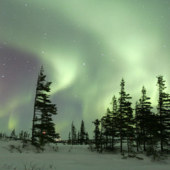 Aurora Borealis /// DJ Set /// Winter 2015
