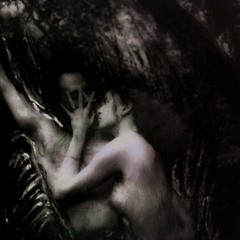 Neruda Sonnet XVII ~ recitation by Diana Love