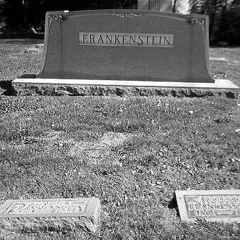 the body of frankenstein