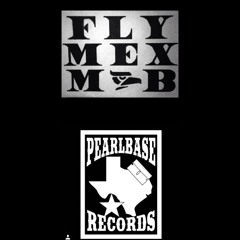 Screwed And Chopped By DaSugarMan Of PearlBase Records- Equipo LP- Da S.L. Bear