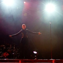 Garbage - You Look So Fine (Live)