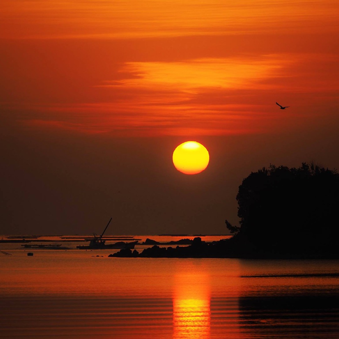 Stream Hayanotrend Listen To Tao Lounge Cloud Version Playlist