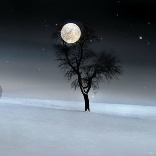 Snowmoon