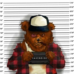 BearsMood 11