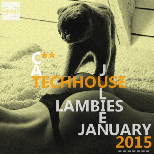 Beats by Julien Lambies - Session January 2015