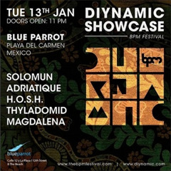 Solomun - January 13, 2015 - Live at Blue Parrot, 2015 BPM Festival, Diynamic