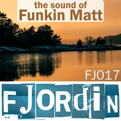 Funkin Matt - Safari