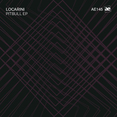 Locarini -  Pitbull  (Original Mix)