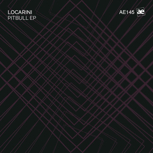 Locarini -  Pitbull  (Original Mix)