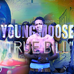 Young Moose - True Bill