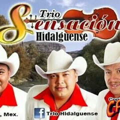 Popurri Cumbias Trio Sensacion Hidalgense Ft ProCristal
