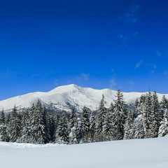 хайкинг