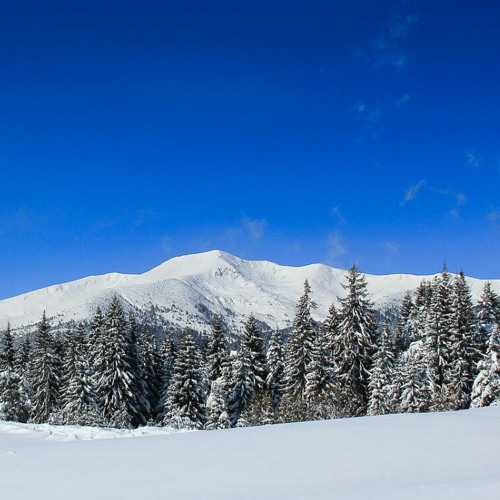 хайкинг