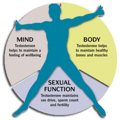 Testosterone - Isochronic Tone