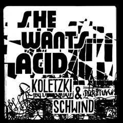 Koletzki & Schwind – She Wants Acid [Snippet]