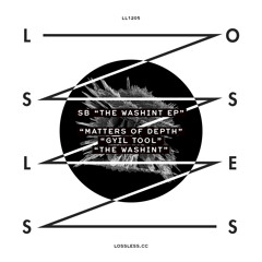 LL1205 SB - Matters Of Depth (snippet)