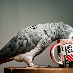 Breakfest on the Moon