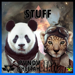 PVNDV BEATZ x CHEETAH BEATZ - STUFF (FREE BEAT)
