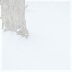 Dreaming In Footprints
