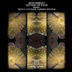 Spacebeat - Letter Of Fate (Tech D Remix)