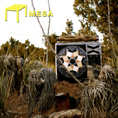 Radio Mesa - 05 - dj erin e (The Bee's Knees Mix)
