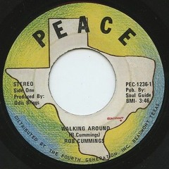 Rob Cummings - Walking Around (Peace)