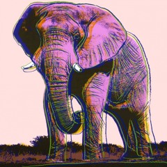 dnb