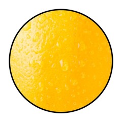 Limonene / Demo Snippets