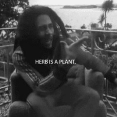 Gyalis In Paris - Bother You (Cum Yah Gyal Pt. 2) Prod. By Riverside Productionz